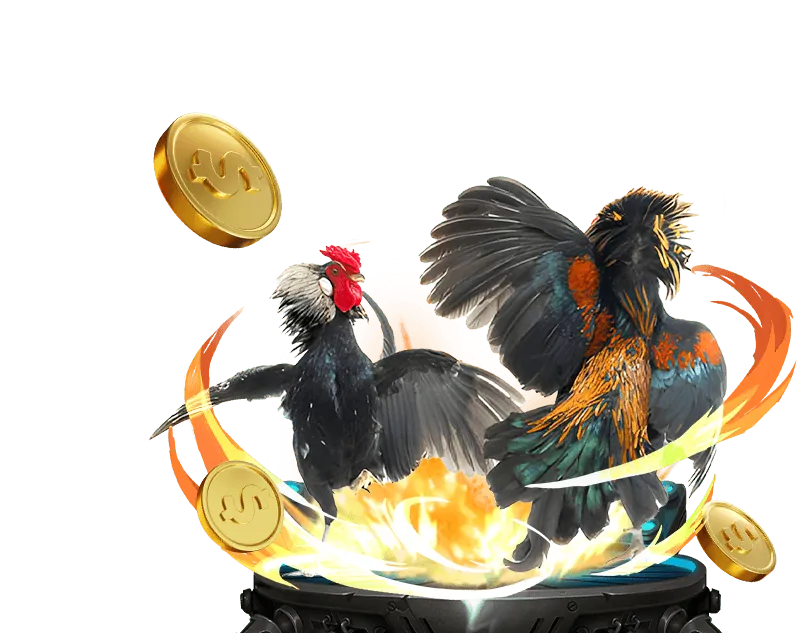 Trực Tiếp Đá Gà Casino - Win2026